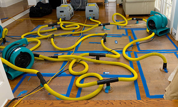 Professional Water Damage Restoration technician working in Shannon, MS